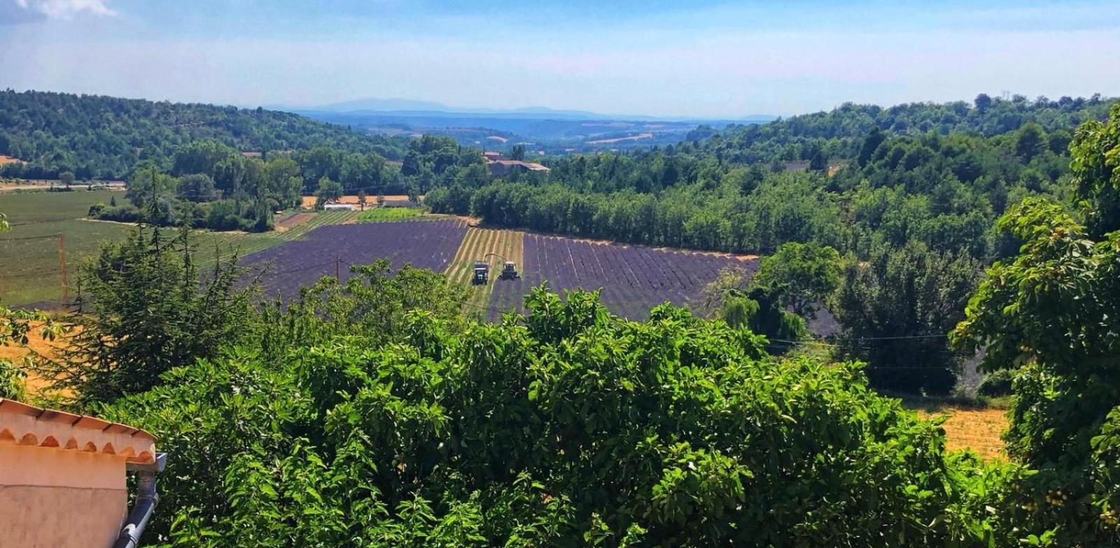 La Ferme Du Petit Segries Bed And Breakfast Moustiers-Sainte-Marie Ngoại thất bức ảnh