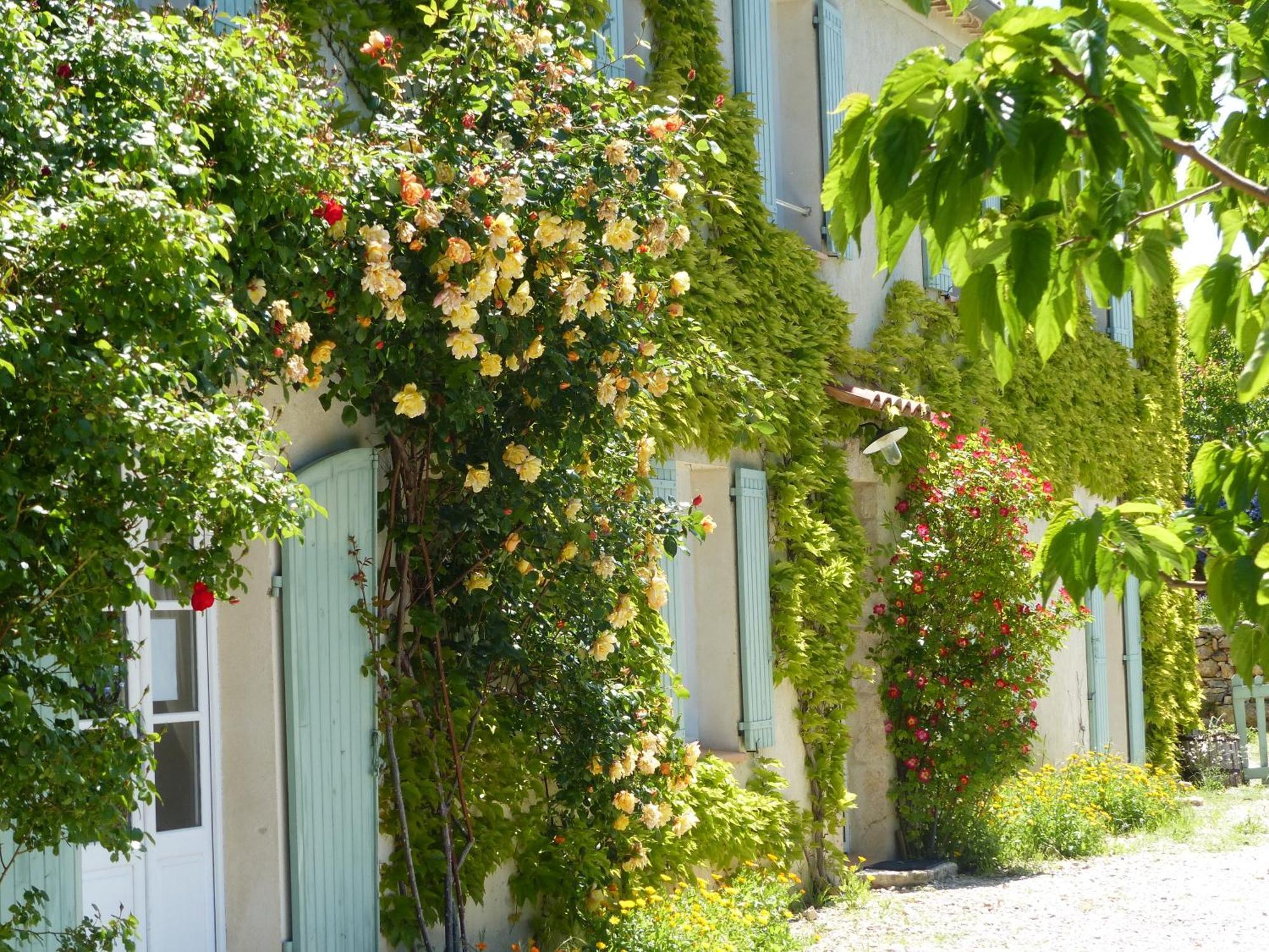 La Ferme Du Petit Segries Bed And Breakfast Moustiers-Sainte-Marie Phòng bức ảnh