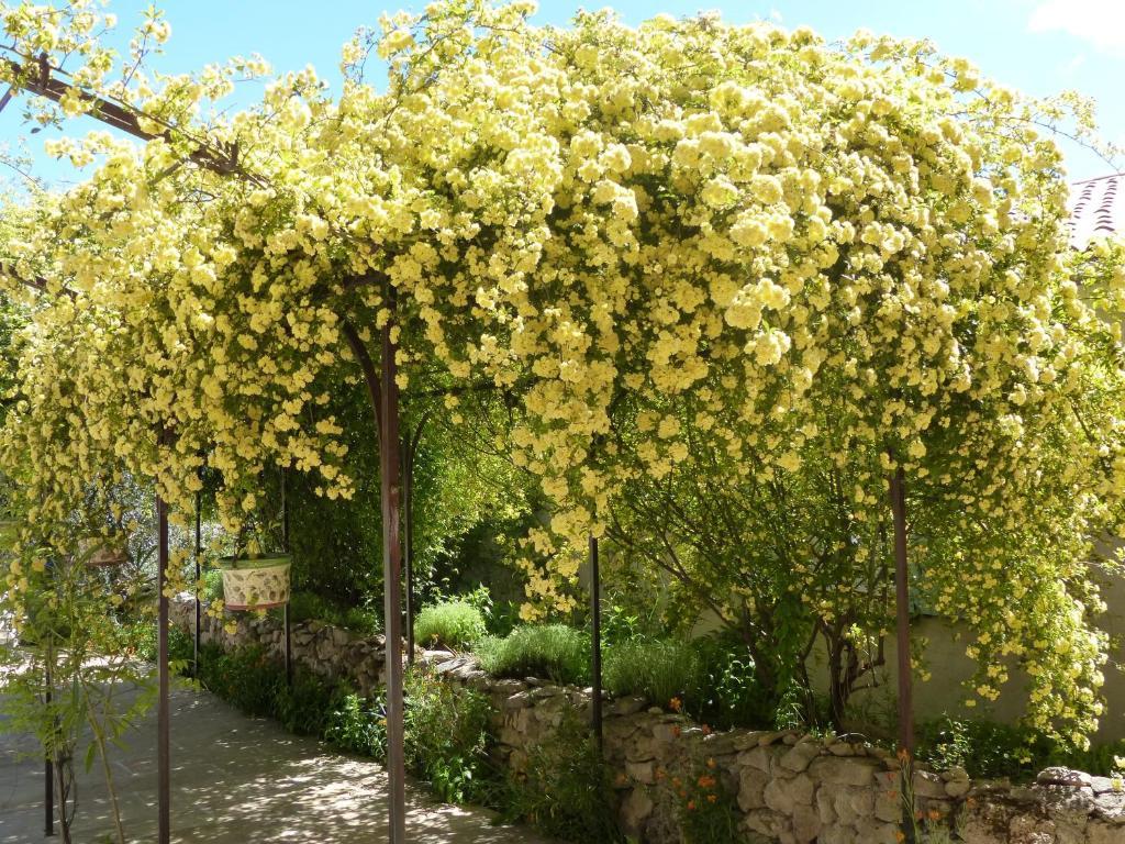 La Ferme Du Petit Segries Bed And Breakfast Moustiers-Sainte-Marie Ngoại thất bức ảnh